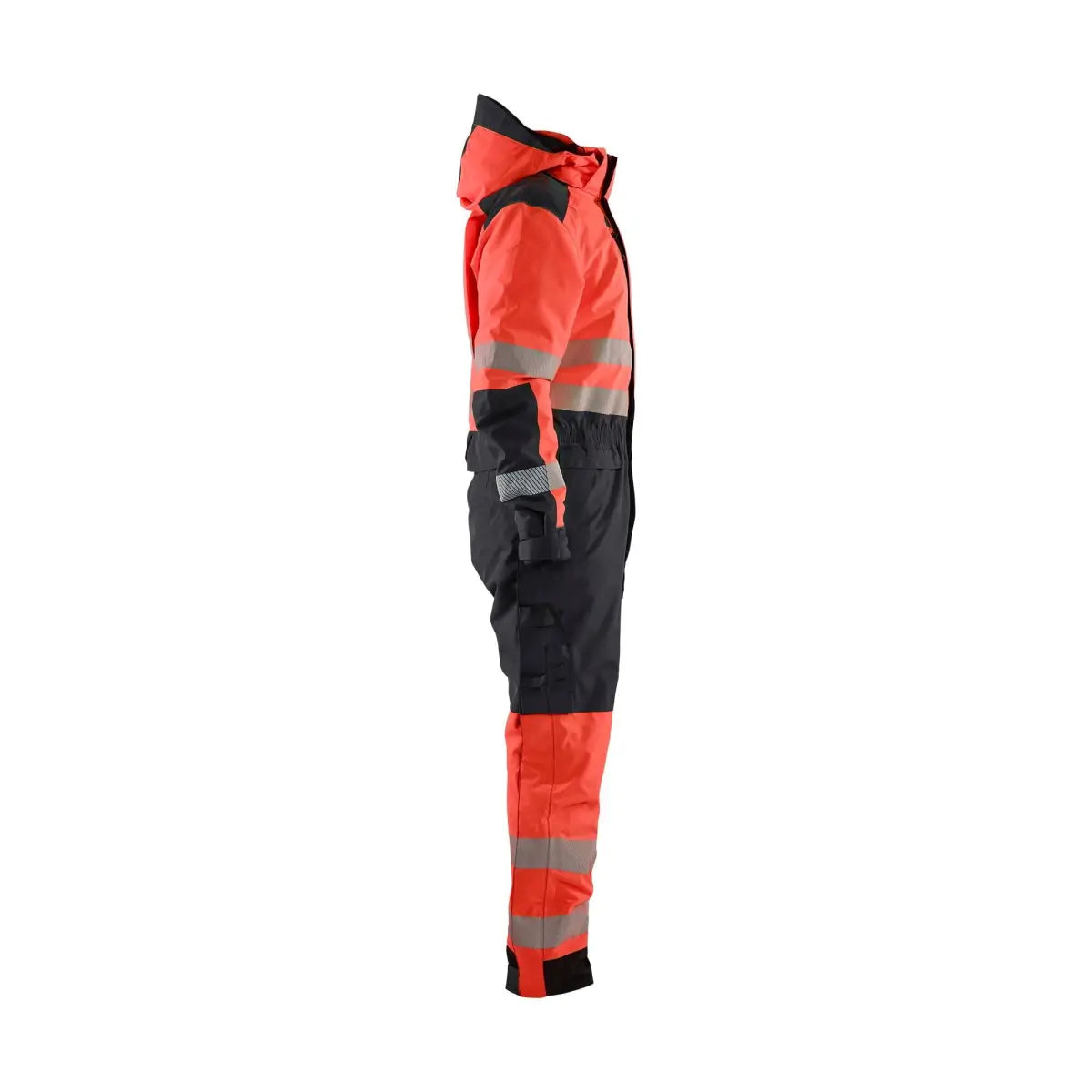 672519775599_CR.jpg