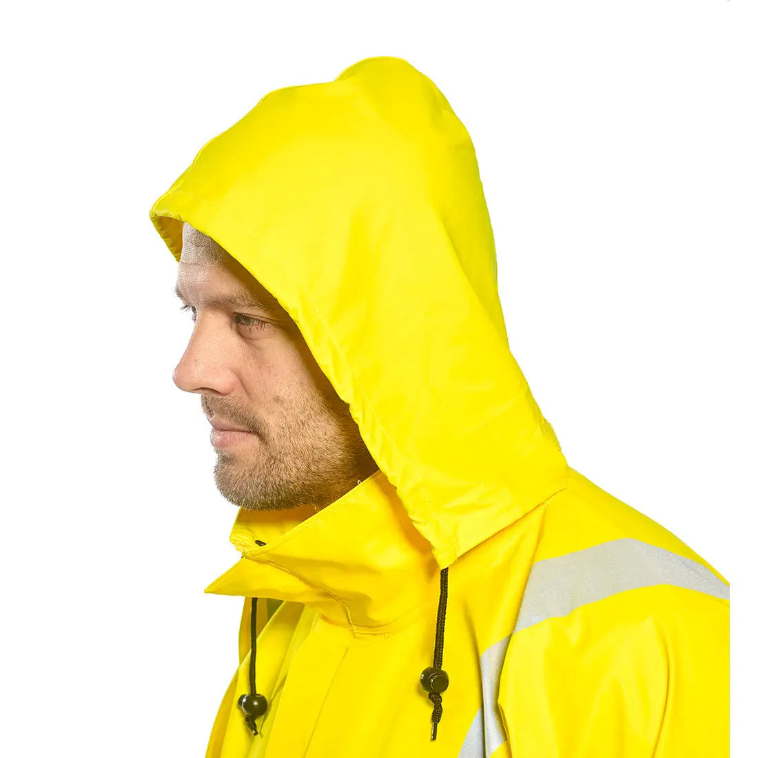 FR41_LS_4.jpg