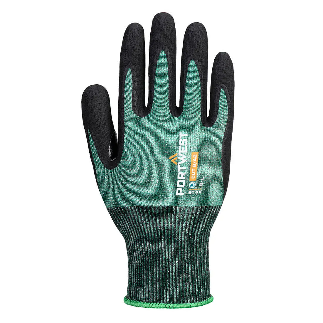 AP15E8R_R-1.jpg