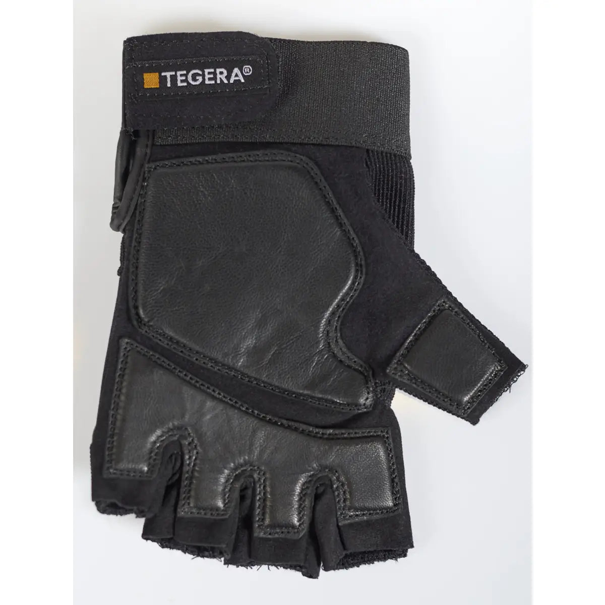 DI_901-1.jpg